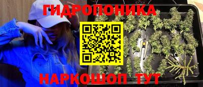 молекула духа Янаул