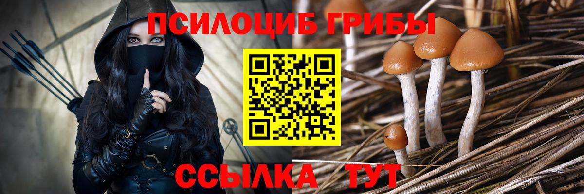 Галлюциногенные грибы MAGIC MUSHROOMS Солнечногорск